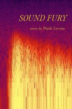 Sound Fury: Poems - Levine, Mark