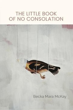 Cover The Little Book of No Consolation