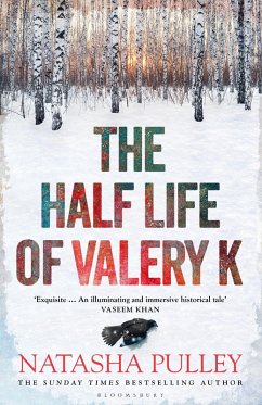 The Half Life of Valery K (eBook, ePUB) - Pulley, Natasha