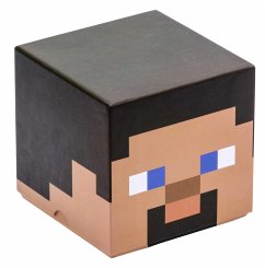 Minecraft: Steve Block Stationery Set - Insights