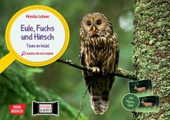 Eule, Fuchs und Hirsch. Tiere im Wald - Lehner, Monika