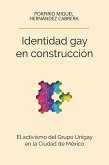 Identidad gay en construcción (eBook, ePUB)