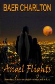 Angel Flights (eBook, ePUB)