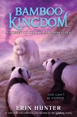Bamboo Kingdom #3: Journey to the Dragon Mountain (eBook, ePUB)