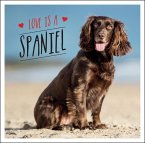 Love is a Spaniel (eBook, ePUB)