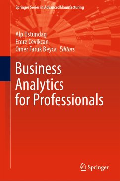Business Analytics for Professionals (eBook, PDF)
