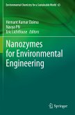 Nanozymes for Environmental Engineering