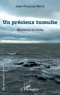 Cover Un précieux tumulte