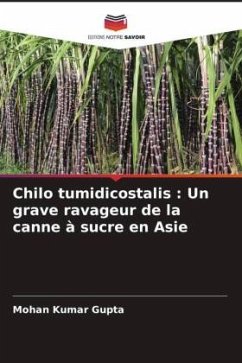 Chilo tumidicostalis : Un grave ravageur de la canne à sucre en Asie - Gupta, Mohan Kumar