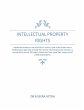 Intellectual Property Rights - Bild 1