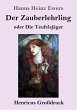 Der Zauberlehrling (Großdruck) - Bild 1