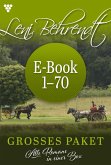 E-Book 1-70 (eBook, ePUB) E-Book 1-70 (eBook, ePUB)