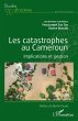 Les catastrophes au Cameroun - Bild 1