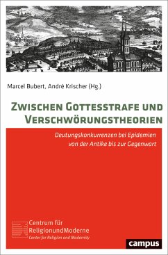 Zwischen Gottesstrafe und Verschwörungstheorien (eBook, PDF)