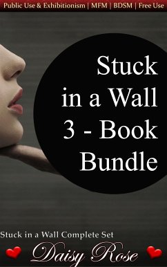 Stuck In A Wall 3-Book Bundle (eBook, ePUB) - Rose, Daisy