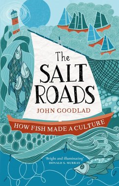 The Salt Roads (eBook, ePUB) - Goodlad, John