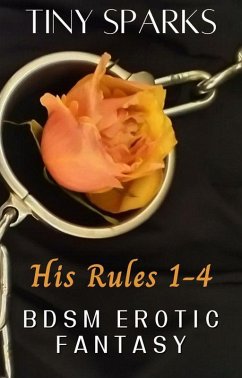 Cover His Rules 1-4 (BDSM Erotic Fantasy) (eBook, ePUB)