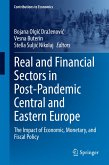 Real and Financial Sectors in Post-Pandemic Central and Eastern Europe (eBook, PDF)