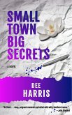 Small Town Big Secrets (eBook, ePUB)