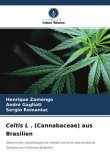 Celtis L . (Cannabaceae) aus Brasilien