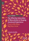 The Affective Intensities of Masculinity in Shaping Gendered Experience (eBook, PDF)