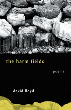 The Harm Fields (eBook, ePUB) - Lloyd, David