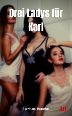 Drei Ladys für Karl (eBook, ePUB) - Bouche, Lariana