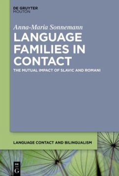 Language Families in Contact - Sonnemann, Anna-Maria