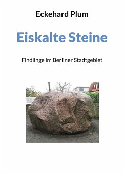 Eiskalte Steine (eBook, ePUB)