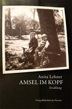 Amsel im Kopf - Lehner, Anita