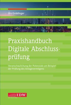 Praxishandbuch Digitale Abschlussprüfung - Urs, Gnädinger