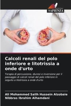 Calcoli renali del polo inferiore e litotrissia a onde d'urto - Salih Hussein Alzobaie, Ali Mohammed;Alhamdani, Nibbras Ibrahim