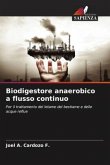 Biodigestore anaerobico a flusso continuo