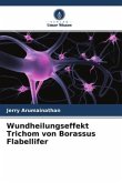 Wundheilungseffekt Trichom von Borassus Flabellifer