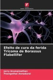 Efeito de cura da ferida Tricoma de Borassus Flabellifer