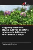 Raggruppamento di alcune cultivar di patate in base alla tolleranza alla carenza d'acqua