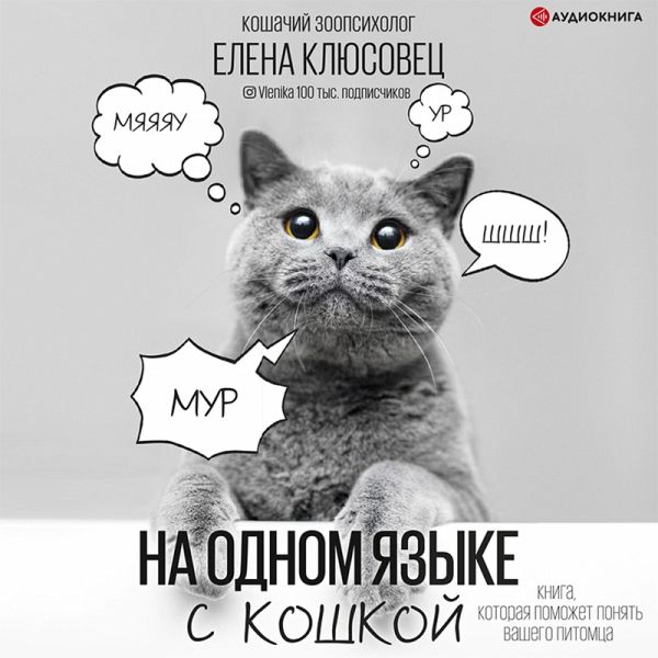 Na odnom yazyke s koshkoy (MP3-Download)