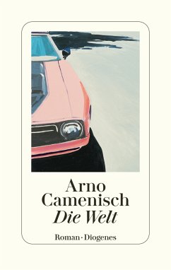 Die Welt (eBook, ePUB) - Camenisch, Arno