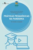 Práticas Pedagógicas na pandemia (eBook, ePUB)