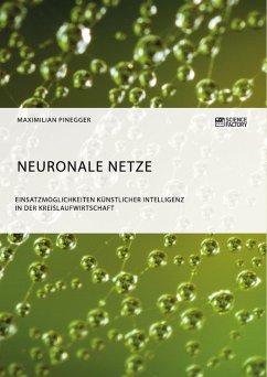 Neuronale Netze. Einsatzmöglichkeiten künstlicher Intelligenz in der Kreislaufwirtschaft (eBook, PDF) - Pinegger, Maximilian