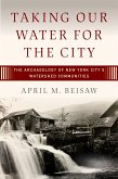 Taking Our Water for the City (eBook, ePUB)