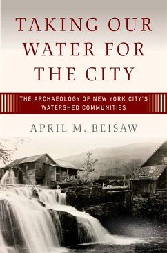 Taking Our Water for the City (eBook, ePUB) - Beisaw, April M.