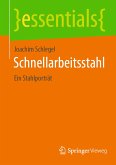 Schnellarbeitsstahl (eBook, PDF)