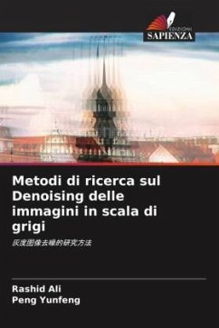 Metodi di ricerca sul Denoising delle immagini in scala di grigi - Ali, Rashid;Yunfeng, Peng