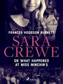 Sara Crewe or What Happened at Miss Minchin's (eBook, ePUB)