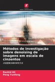 Métodos de investigação sobre denoising de imagens em escala de cinzentos