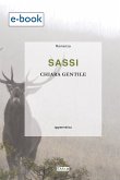 Sassi (eBook, ePUB)