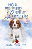 Non è mai troppo tardi per l'amore (eBook, ePUB)