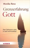 Grenzerfahrung Gott (eBook, ePUB)