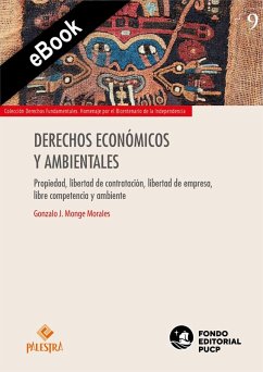 Derechos económicos y ambientales (eBook, ePUB) - Monge, Gonzalo